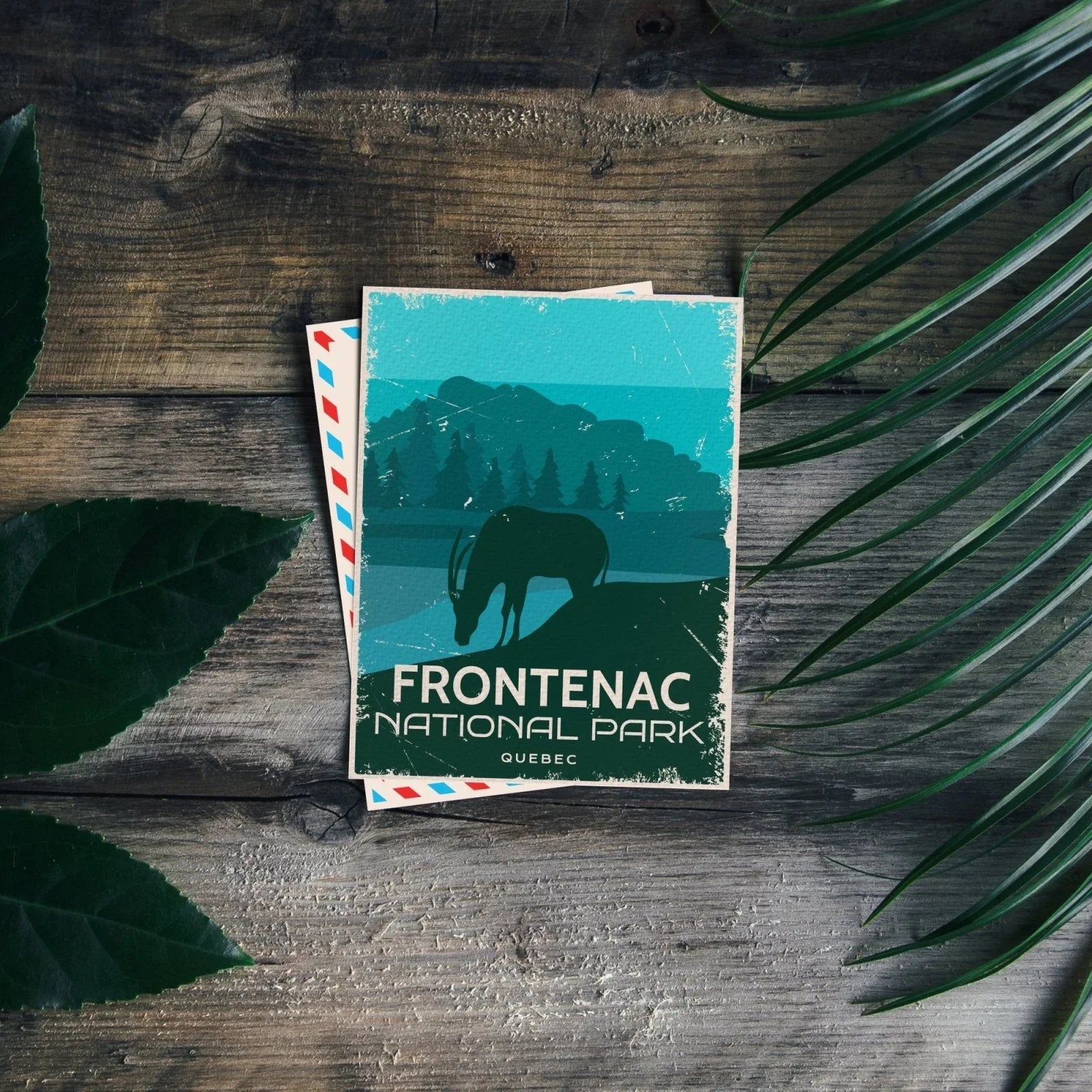 Frontenac National Park Quebec postcard on rustic wood with green leaves, vintage design
