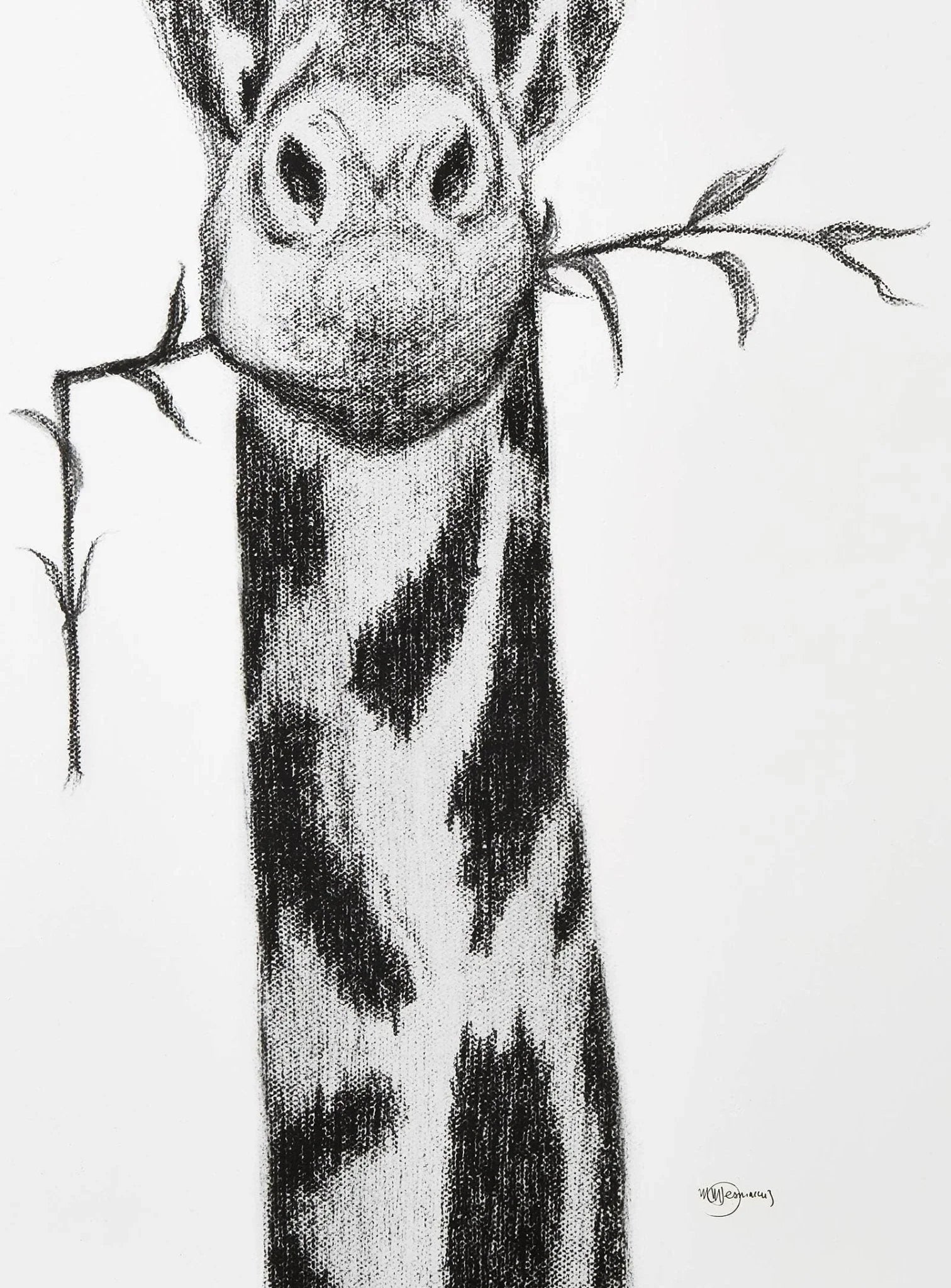 Black and white giraffe portrait sketch with branch in mouth on white background