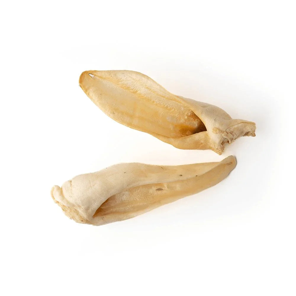 Two dried goat ears on a white background, natural dog chew treats