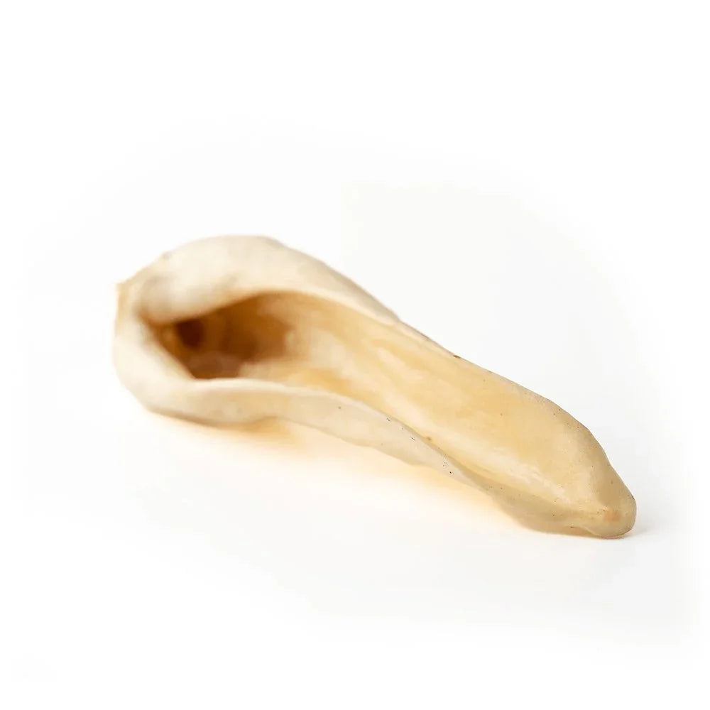 Dried goat ear dog treat against a white background