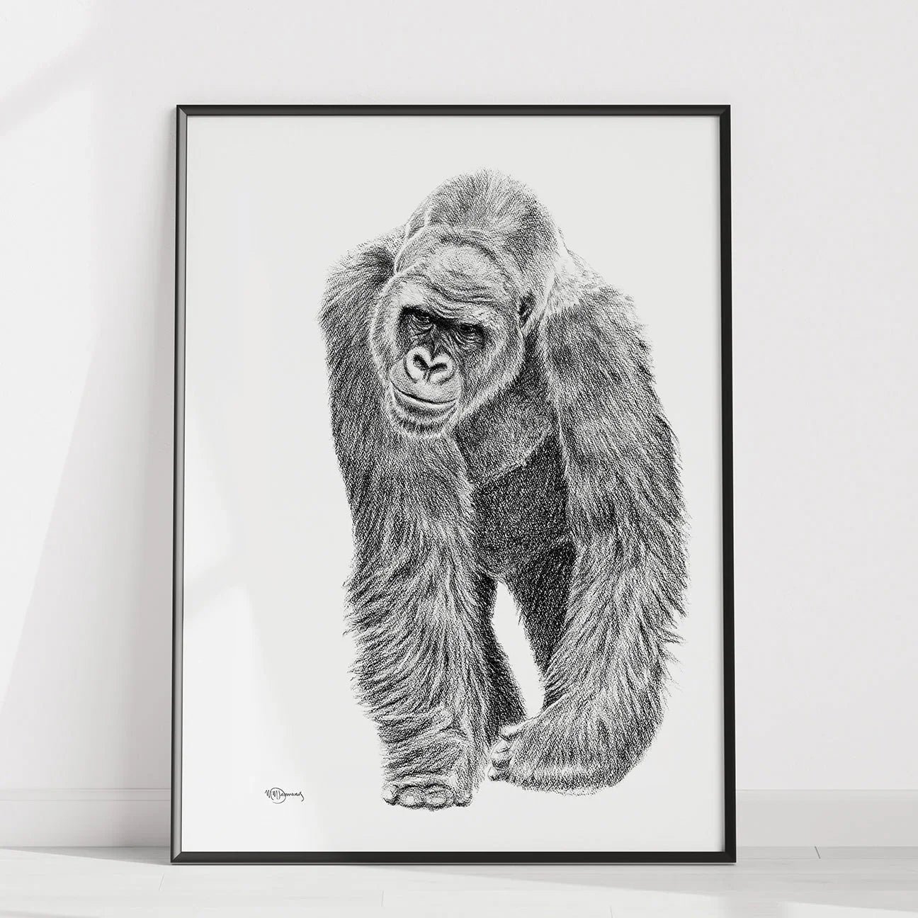 Framed black and white gorilla illustration on white wall, wildlife art print