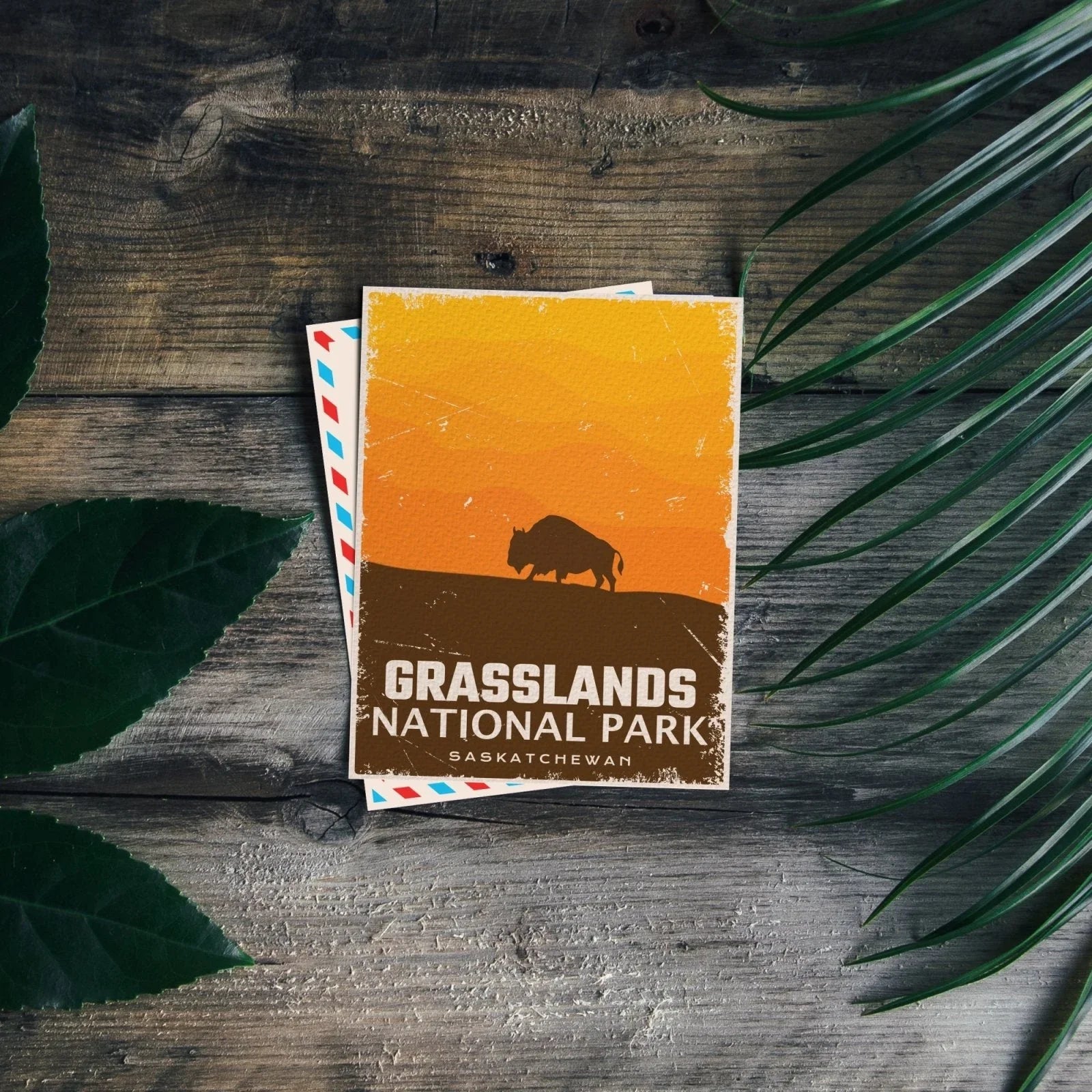 Grasslands National Park postcard with a bison silhouette on rustic wood and green leaves