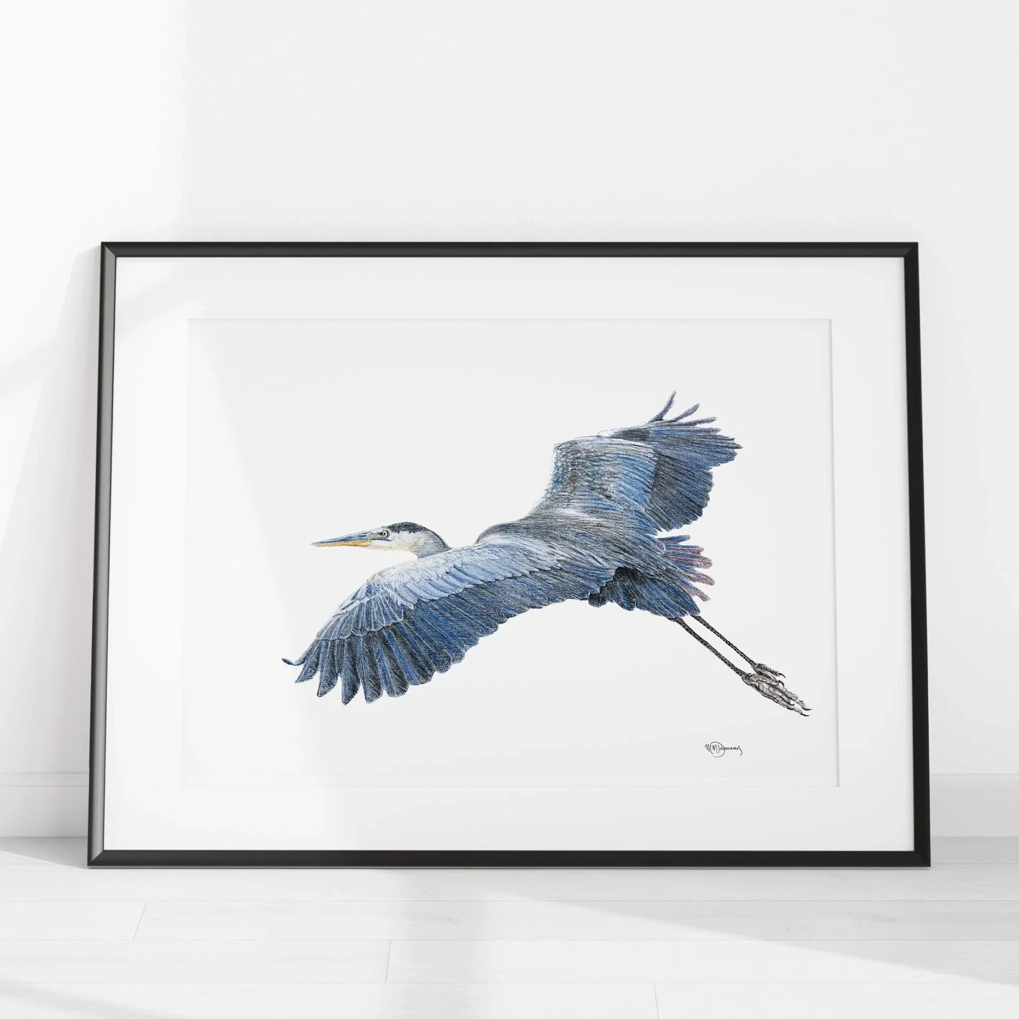 Great blue heron illustration art print in black frame on white floor