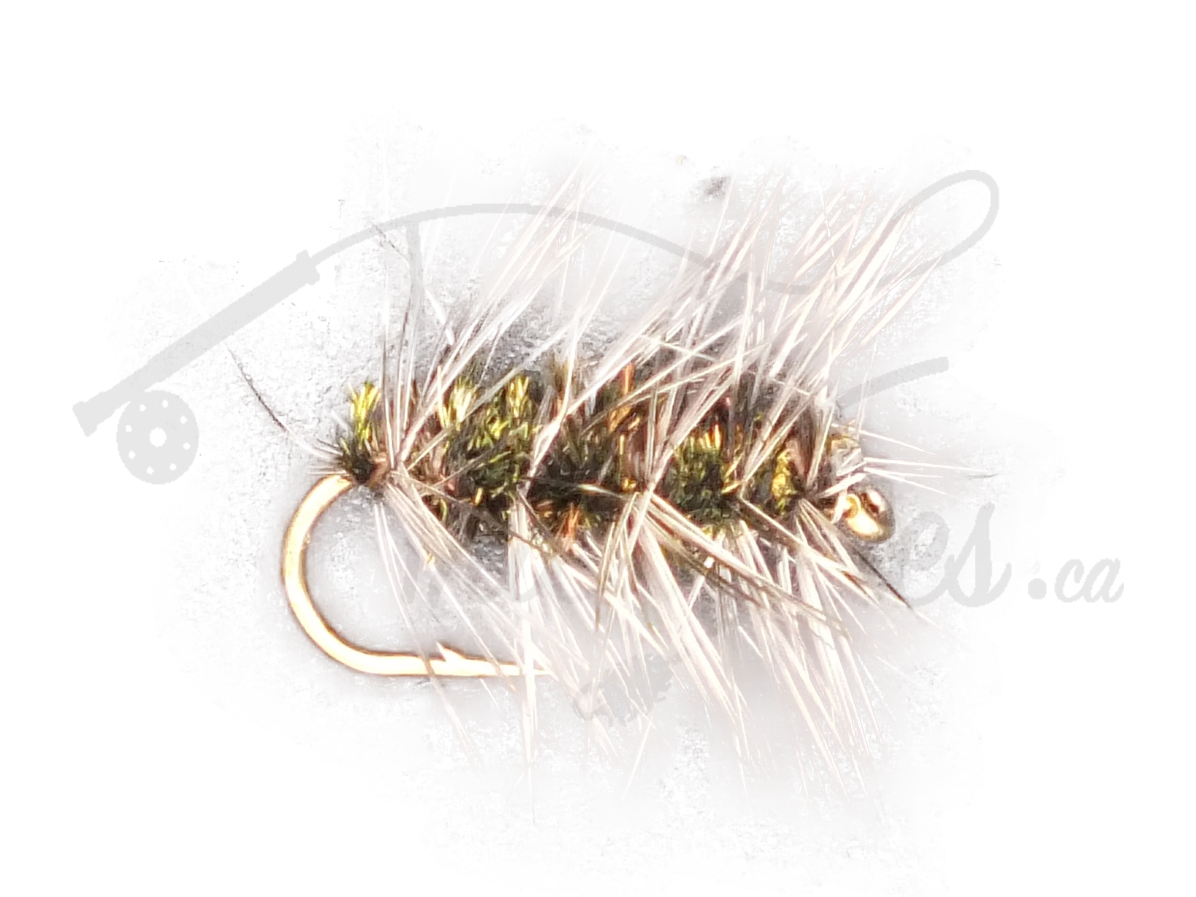 Griffiths Gnat dry fly fishing lure with bushy hackle and gold hook on grey background