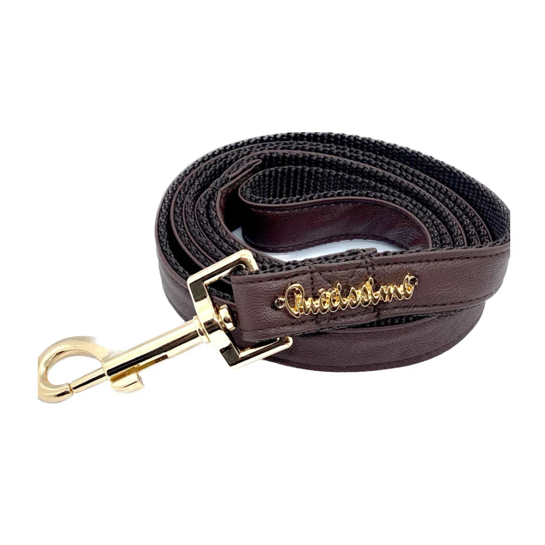 Brown leather dog leash with gold metal clip and gold Audissimo logo on white background