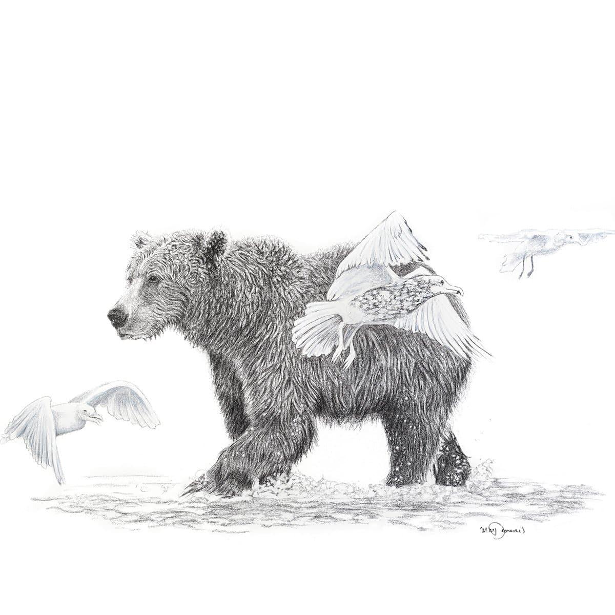 Grizzly bear walking in water with birds flying around, graphite wildlife drawing