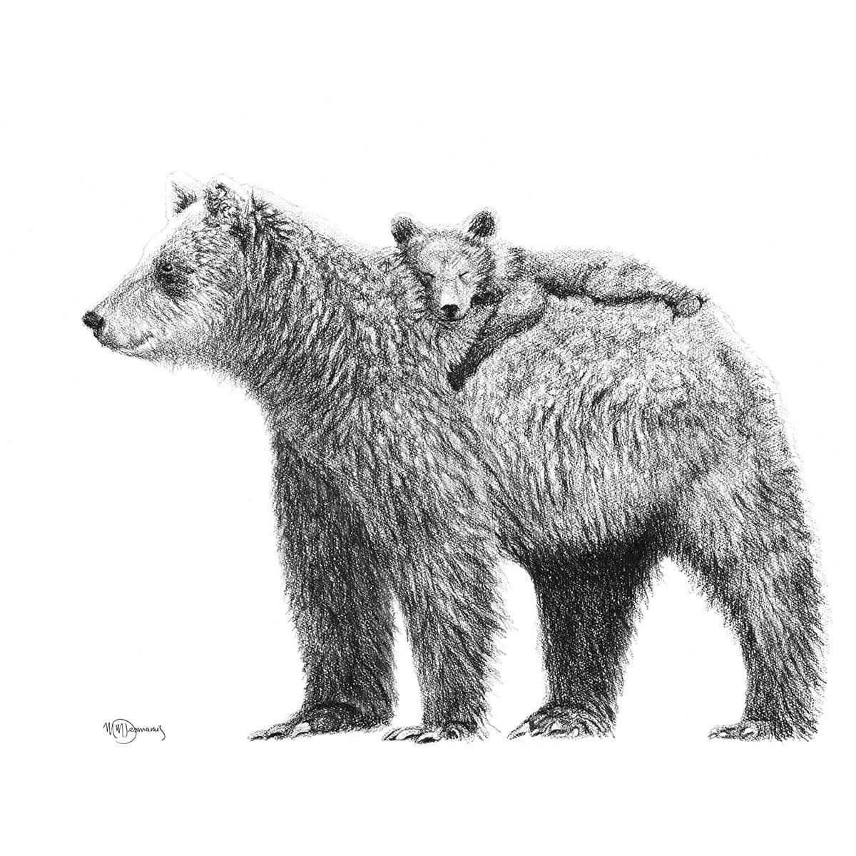 Sketch of mother bear with cub riding on her back, wildlife animal illustration