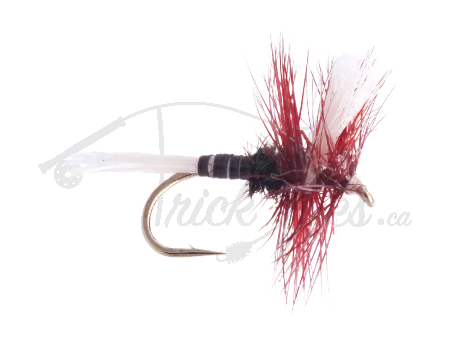 Red and white dry fly fishing lure with feather accents on a gold hook