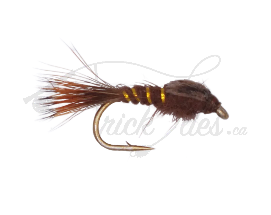 Brown Hare's Ear nymph fly fishing lure with gold ribbing on a plain background