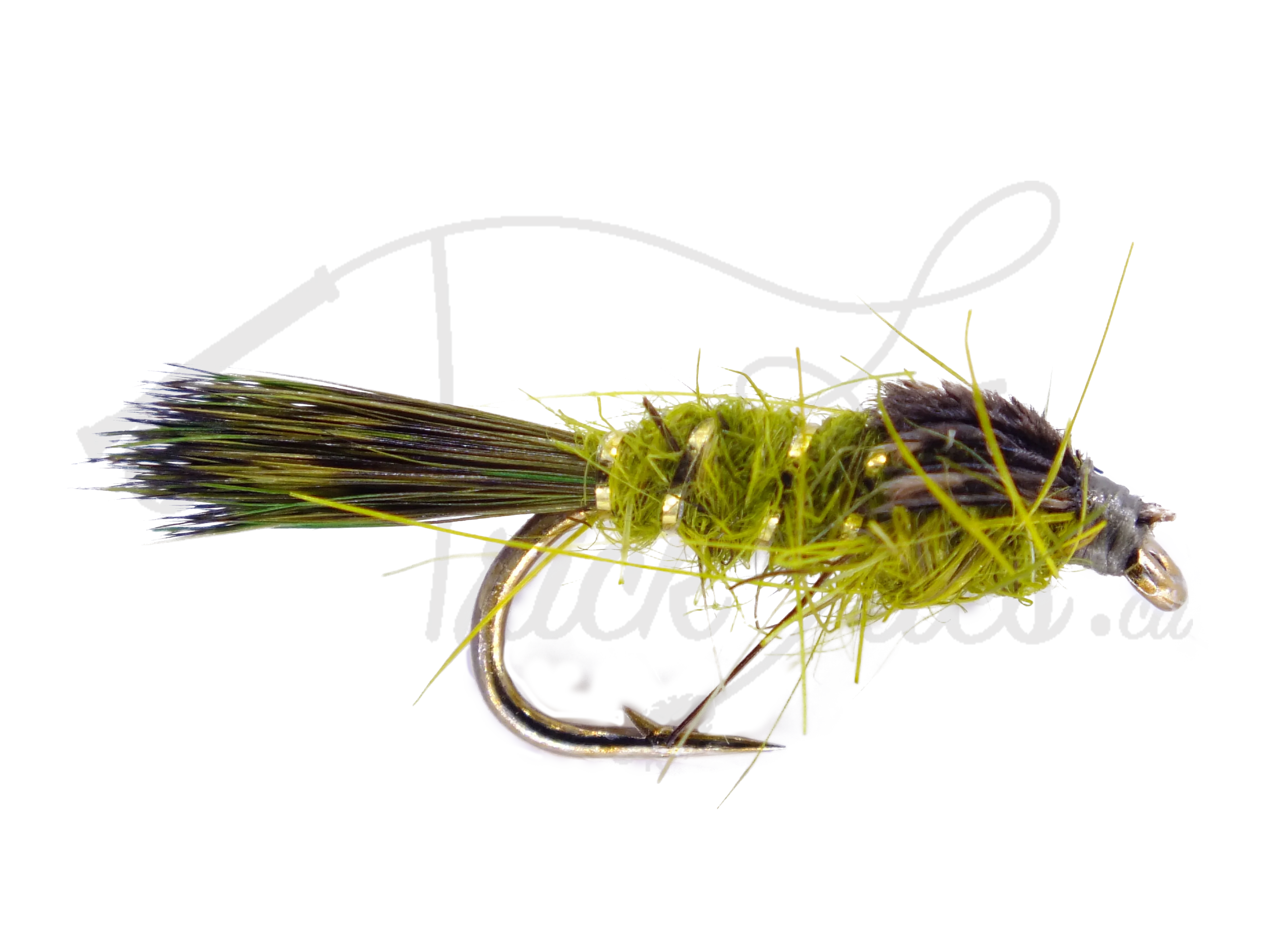 Olive Hare's Ear nymph fishing fly with gold ribbing and bushy fibers on white background