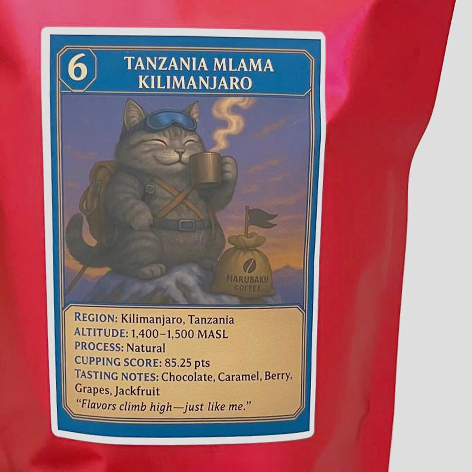 Harubaku Coffee Roasters Tanzania Mlama Kilimanjaro beans bag with illustrated cat label