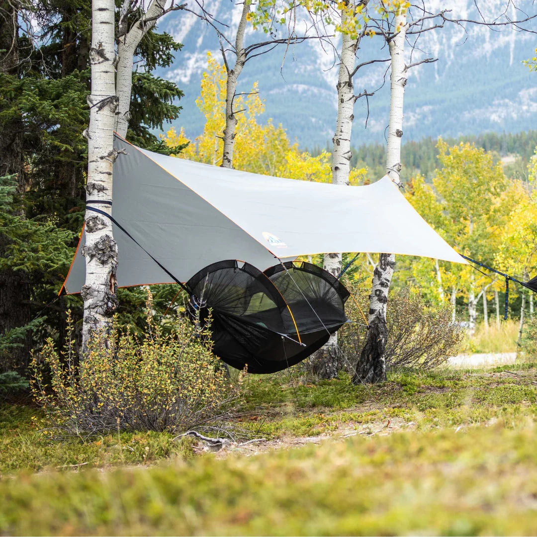 Hammock tent with rainfly set up between birch trees in a mountain forest campsite