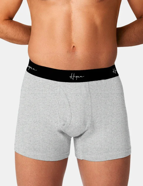 Male model wearing grey boxer briefs with black Hiqua waistband on white background
