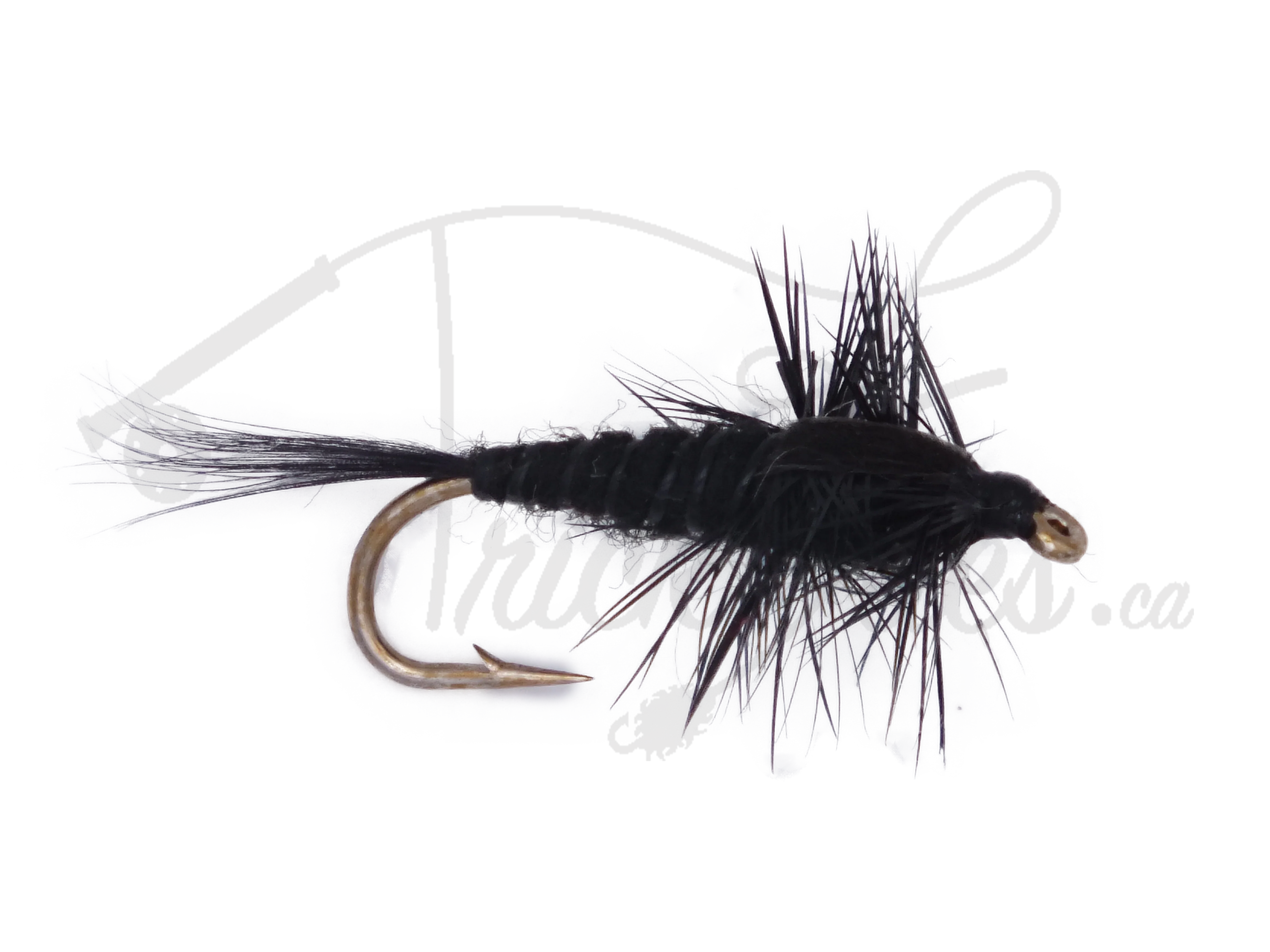 Black Idaho Nymph fly fishing lure with gold hook and feather details on white background