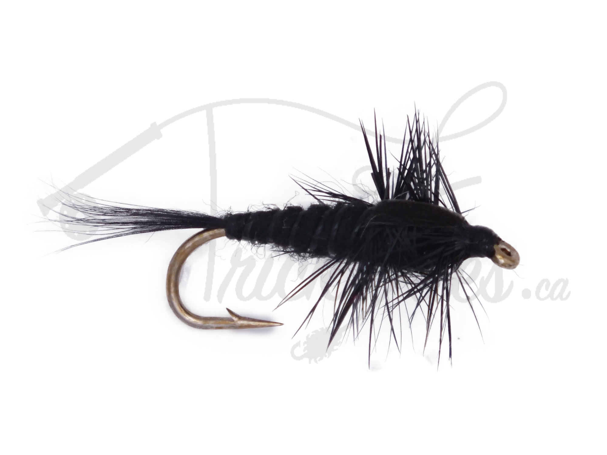 Black Idaho Nymph fly fishing lure with gold hook and feather details on white background