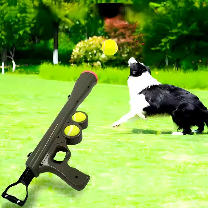 Dog ball launcher gun with tennis balls and border collie playing fetch on grass