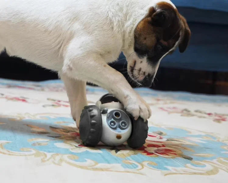 Dog playing with robotic interactive feeder toy on patterned rug indoors