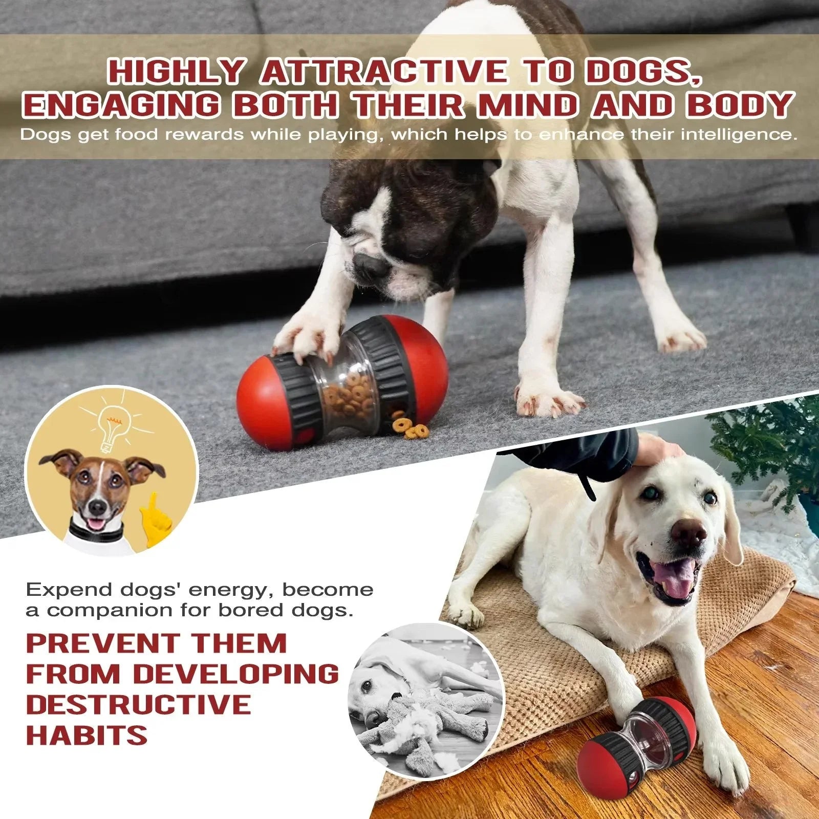 Dogs playing with red interactive treat toy, engaging mind and body, prevents destructive habits
