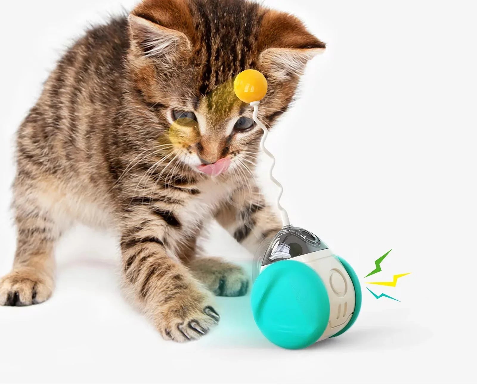 Tabby kitten playing with interactive cat toy ball on white background