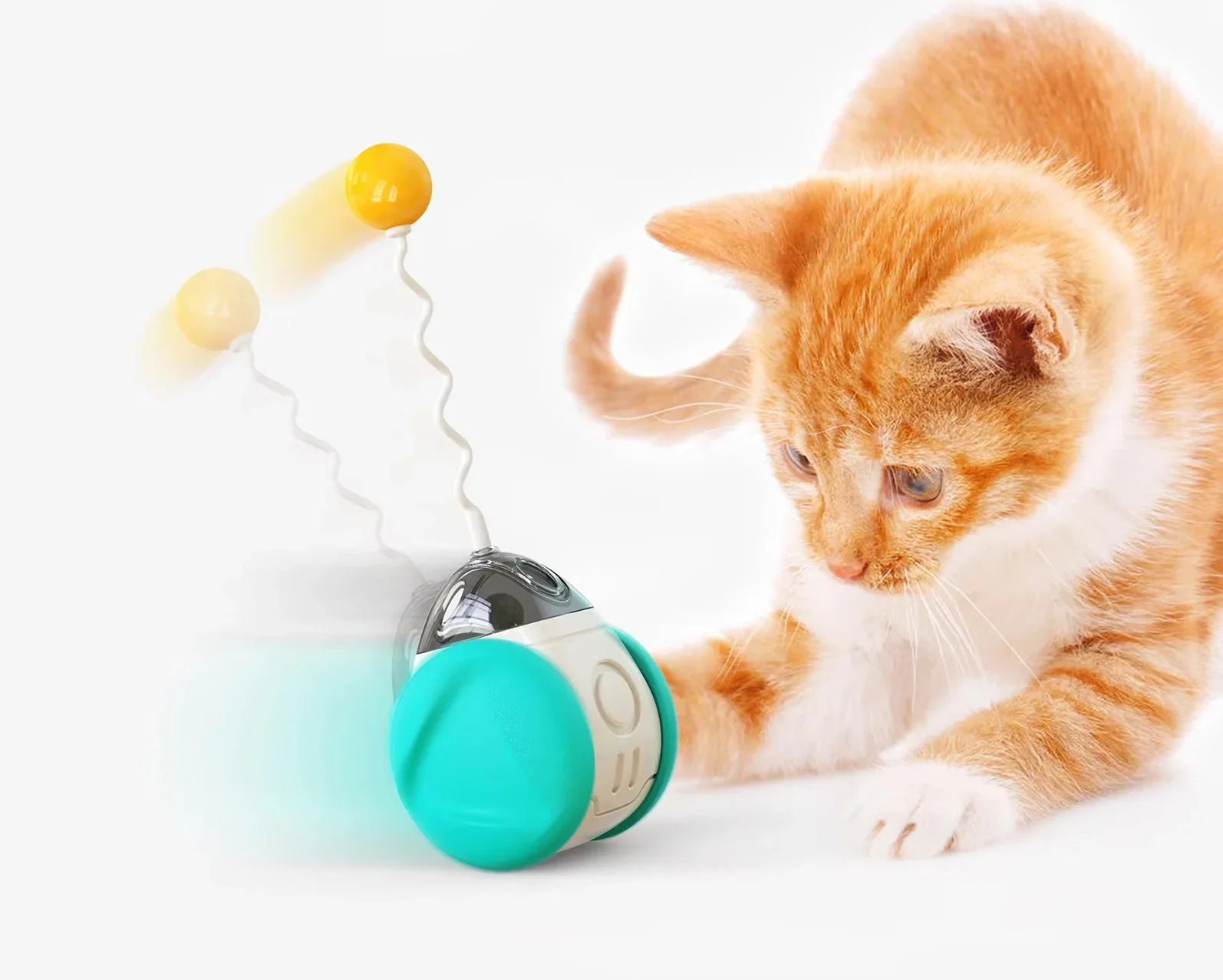 Orange kitten playing with interactive cat toy ball on white background