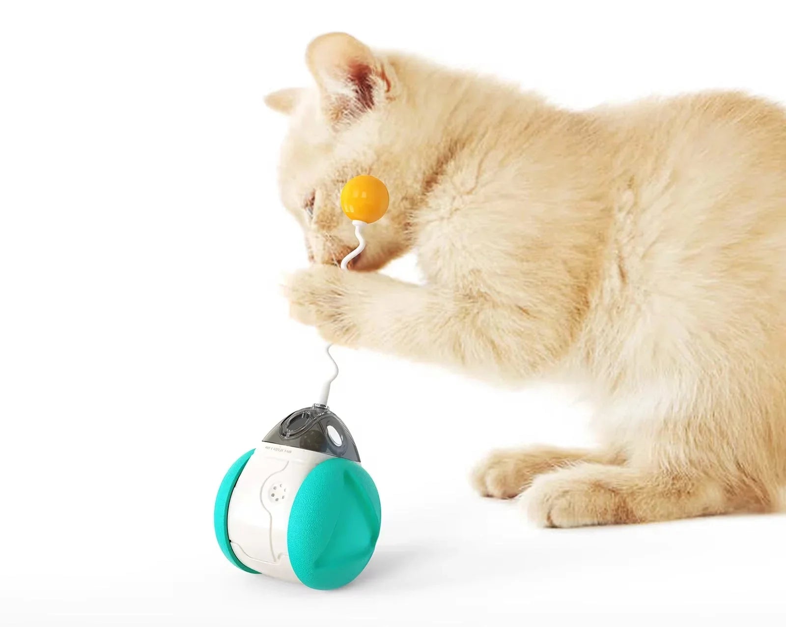 Ginger kitten playing with an interactive robot cat toy on a white background