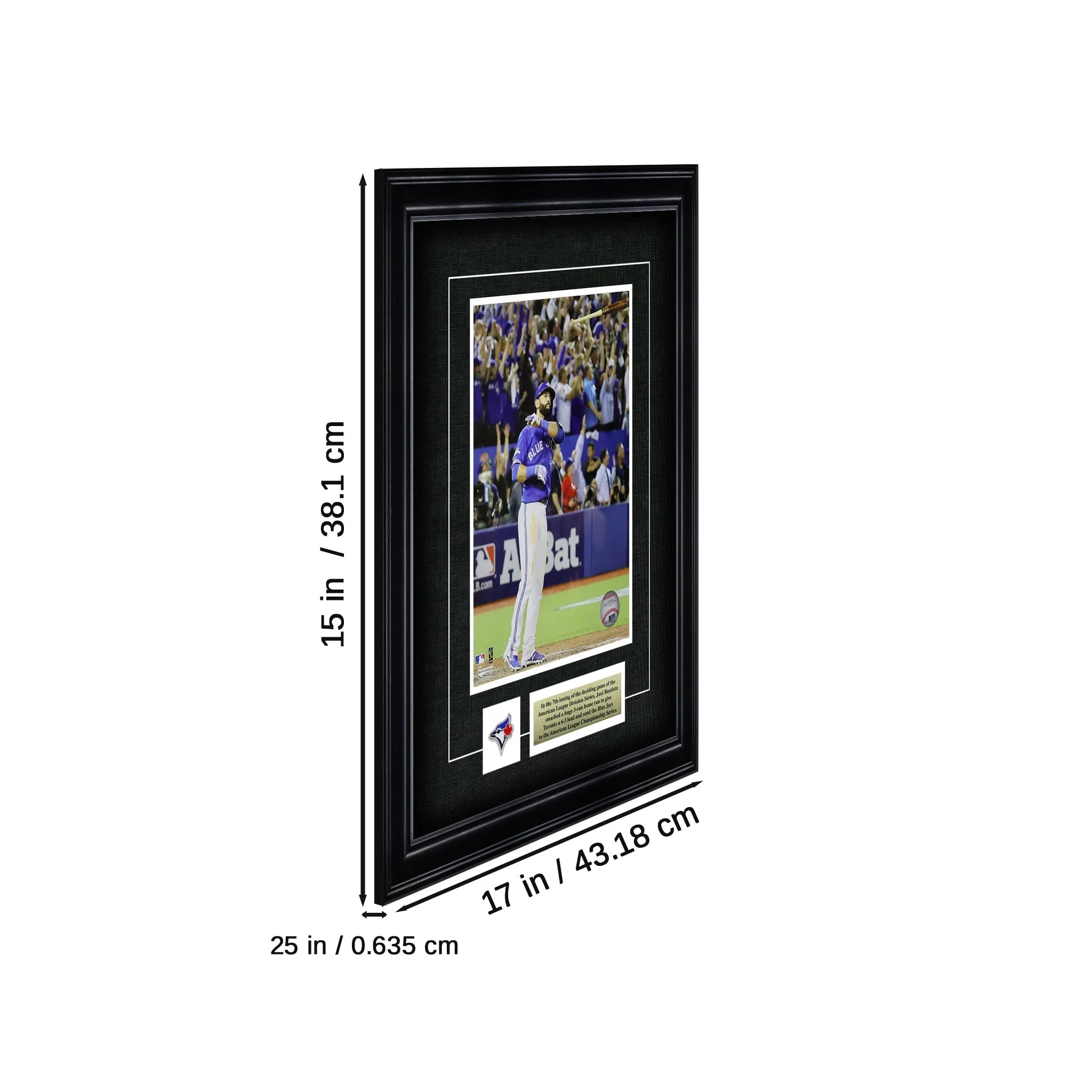 Framed baseball photo display with crowd, black frame, size 15x17 inches, sports memorabilia