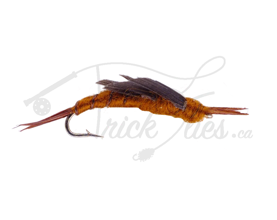 Kaufmann's Stone Brown nymph fly fishing lure with brown body and dark wing on white background