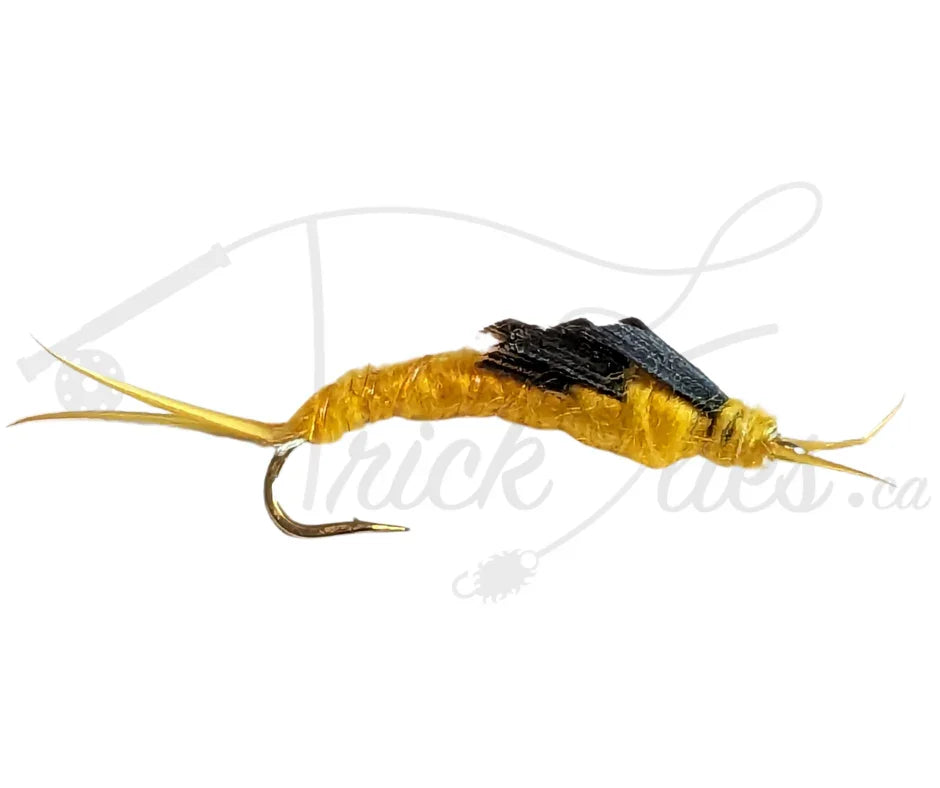 Kaufmann's Stone Golden nymph fly fishing lure with yellow body and dark wing case