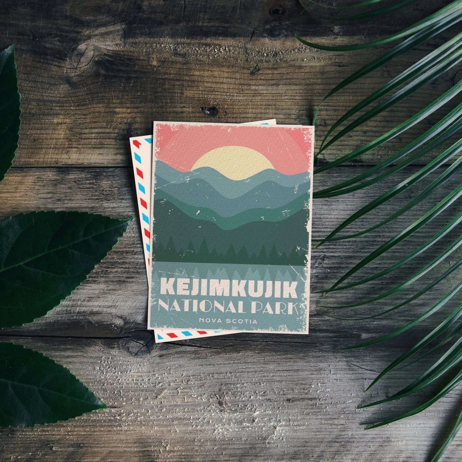 Kejimkujik National Park Nova Scotia postcard on wood with green leaves and palm frond