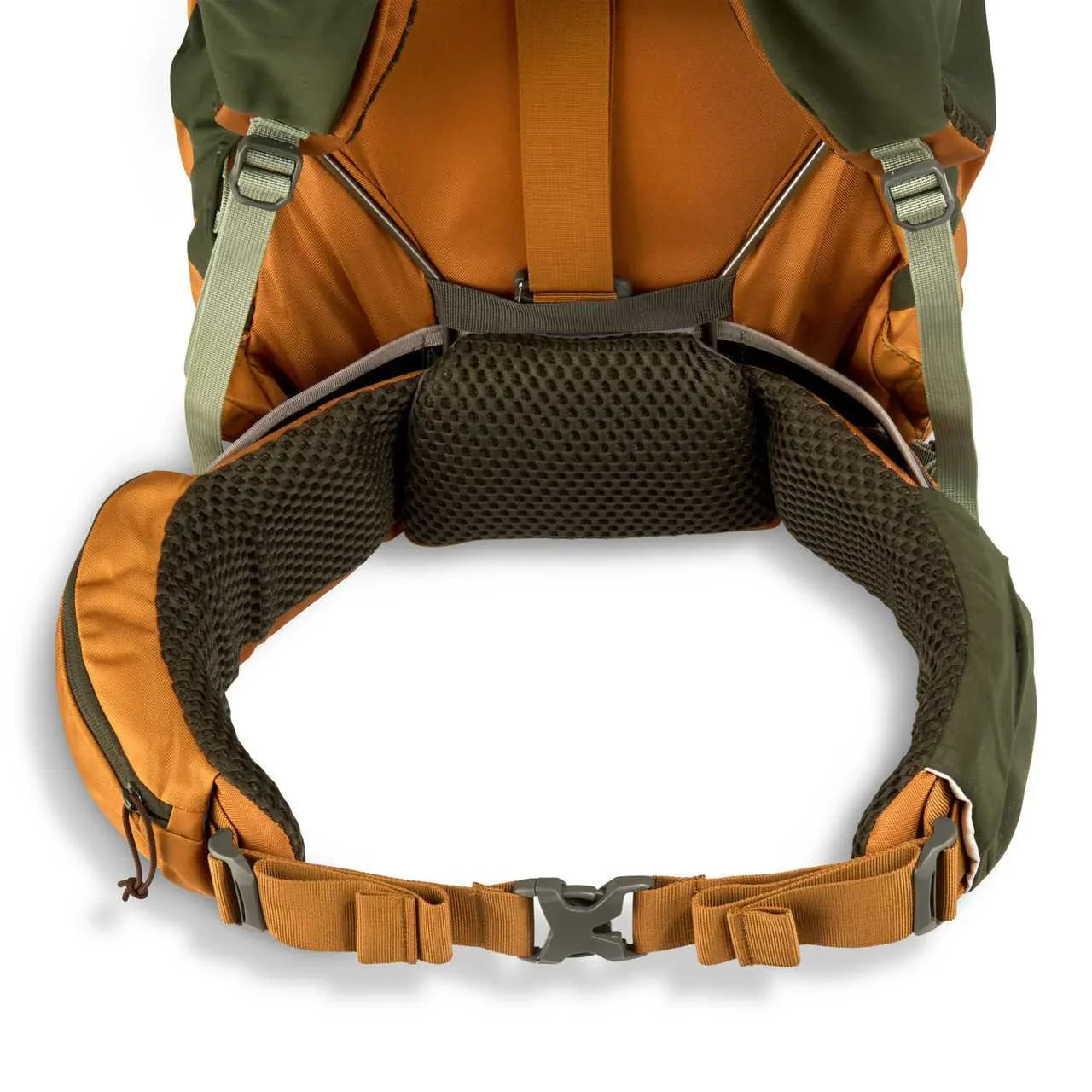 Kelty Glendale 65L backpack close-up showing padded hip belt and back support
