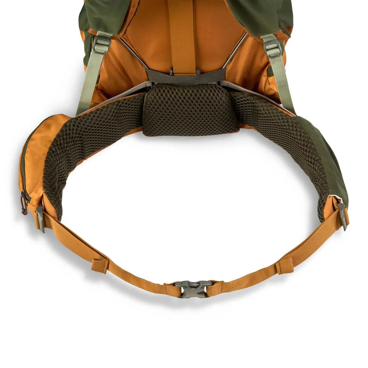 Kelty Glendale 65L backpack hip belt with orange padded straps and mesh back support