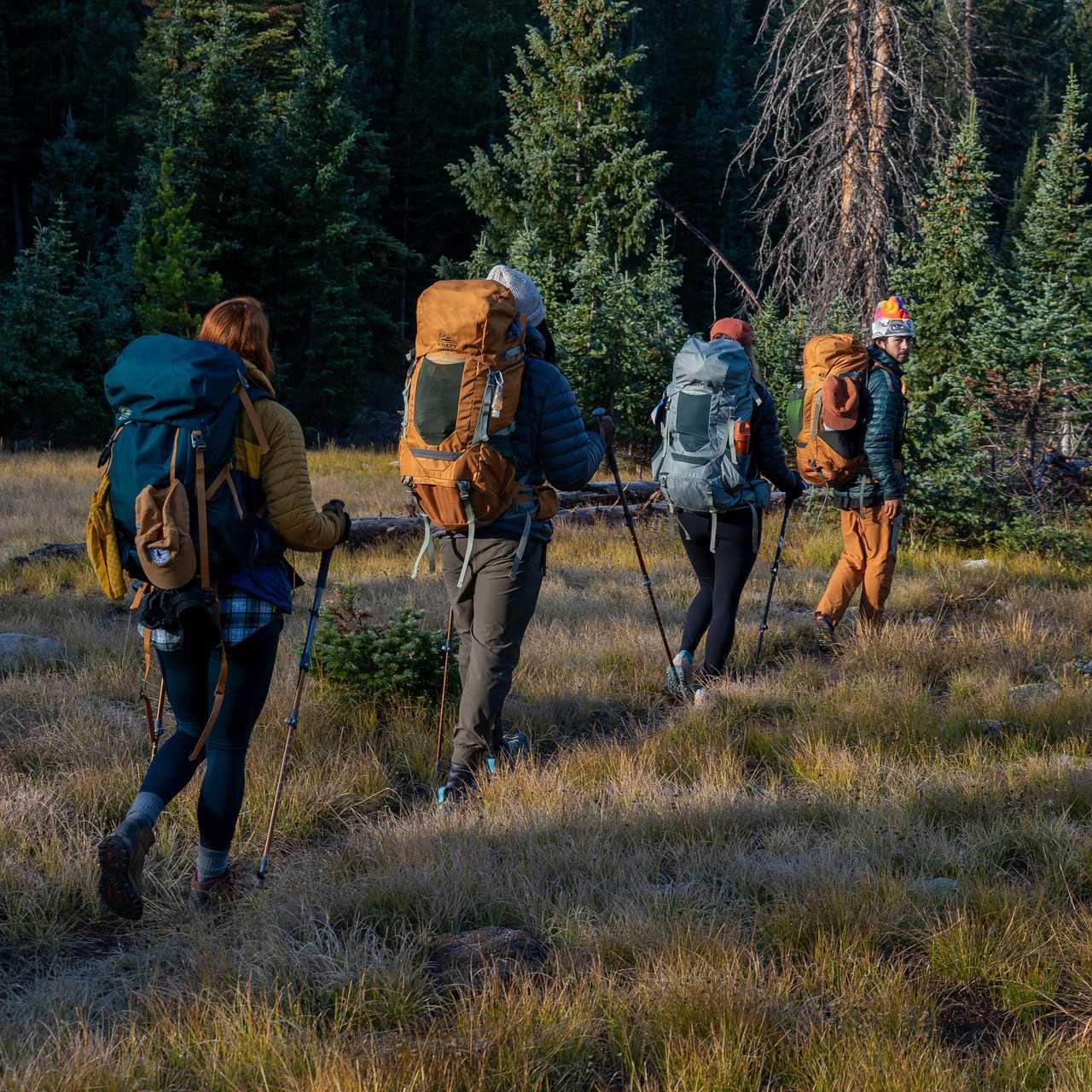 Group hiking in forest with Kelty Glendale 65L backpacks and trekking poles