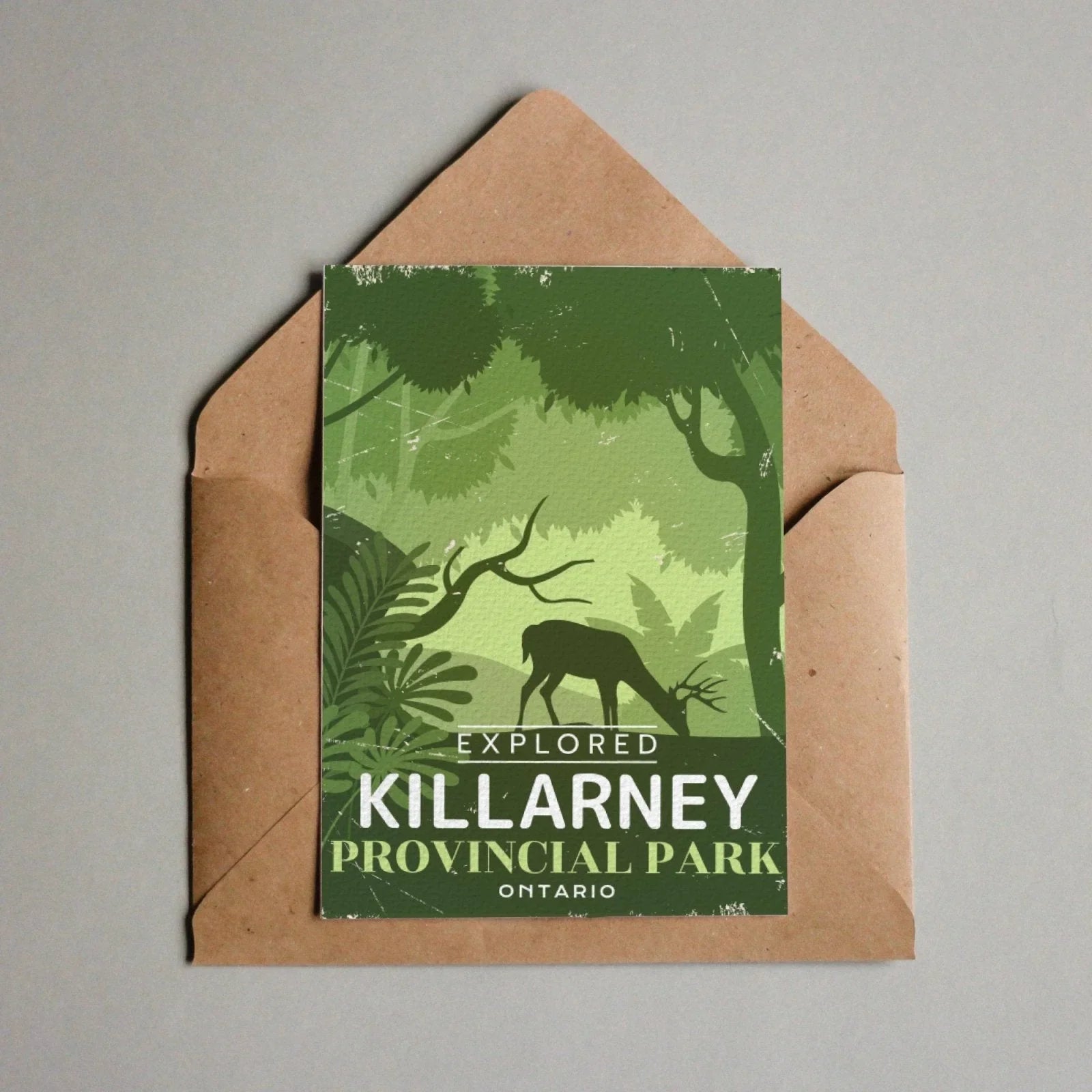 Killarney Provincial Park Ontario postcard with green forest and deer illustration in envelope