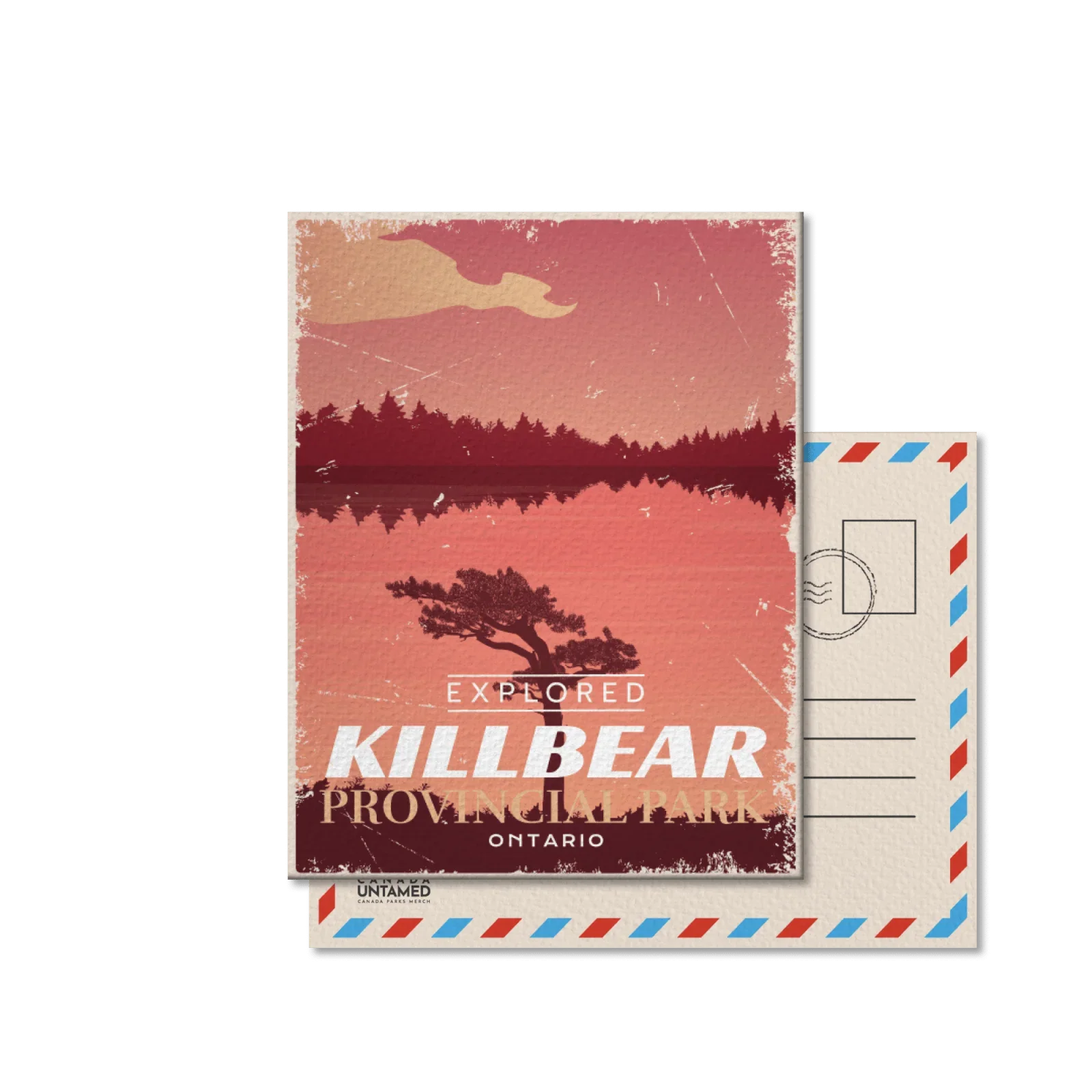 Vintage Killbear Provincial Park Ontario postcard with pink sunset and pine tree illustration