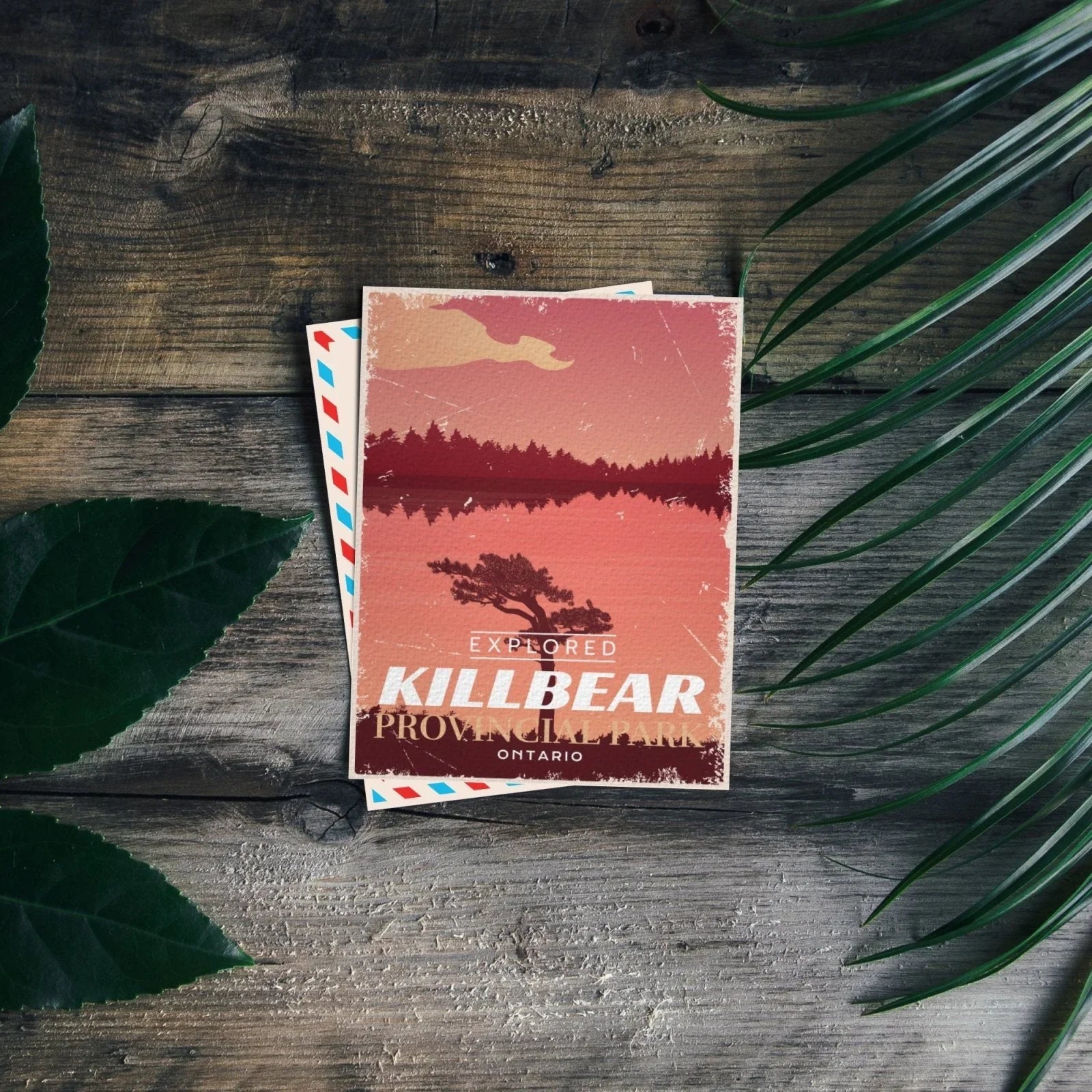 Killbear Ontario Provincial Park postcard on rustic wood table with green leaves