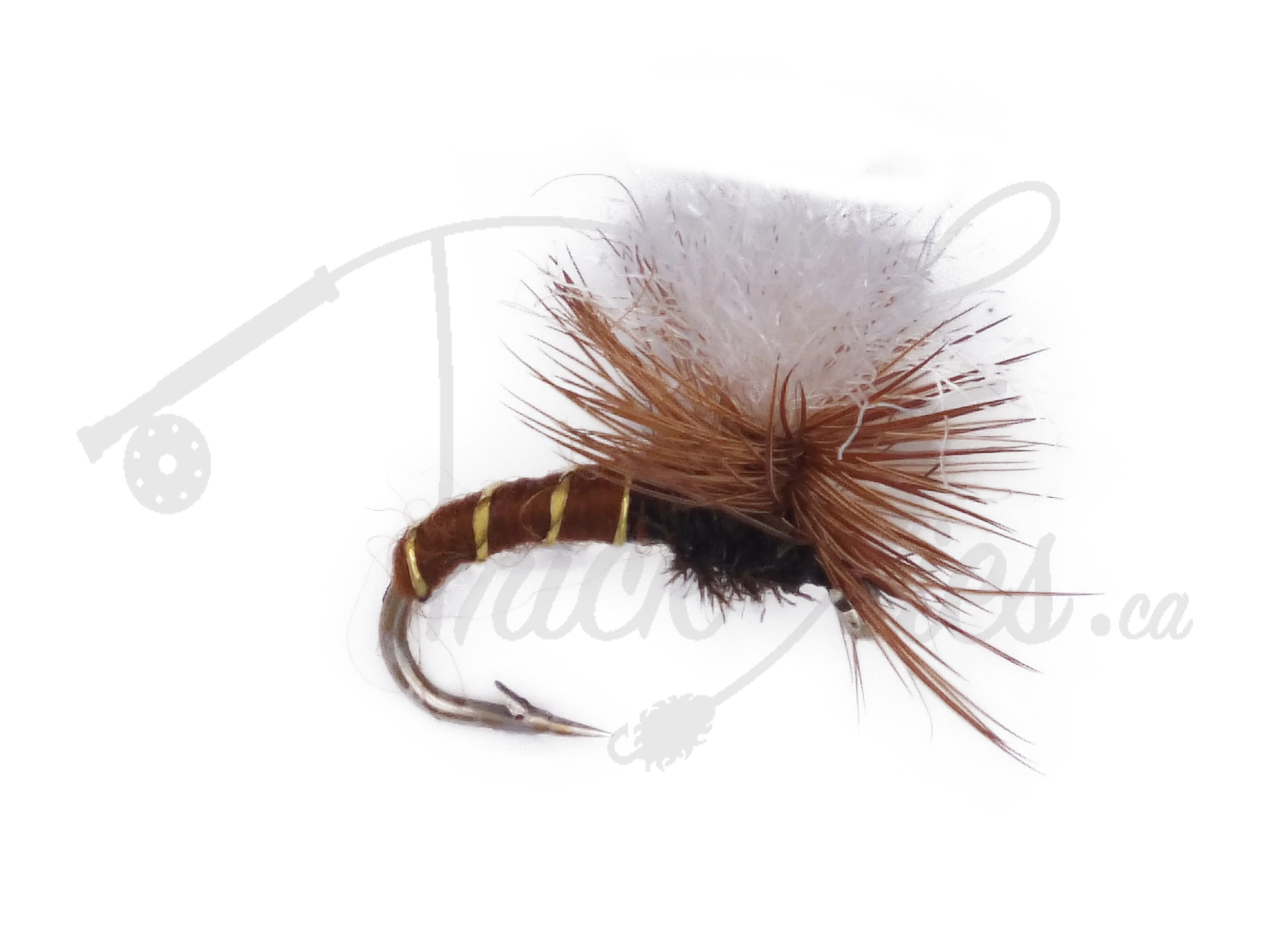 Klinkhammer natural dry fly fishing lure with brown and white hackle on a single hook