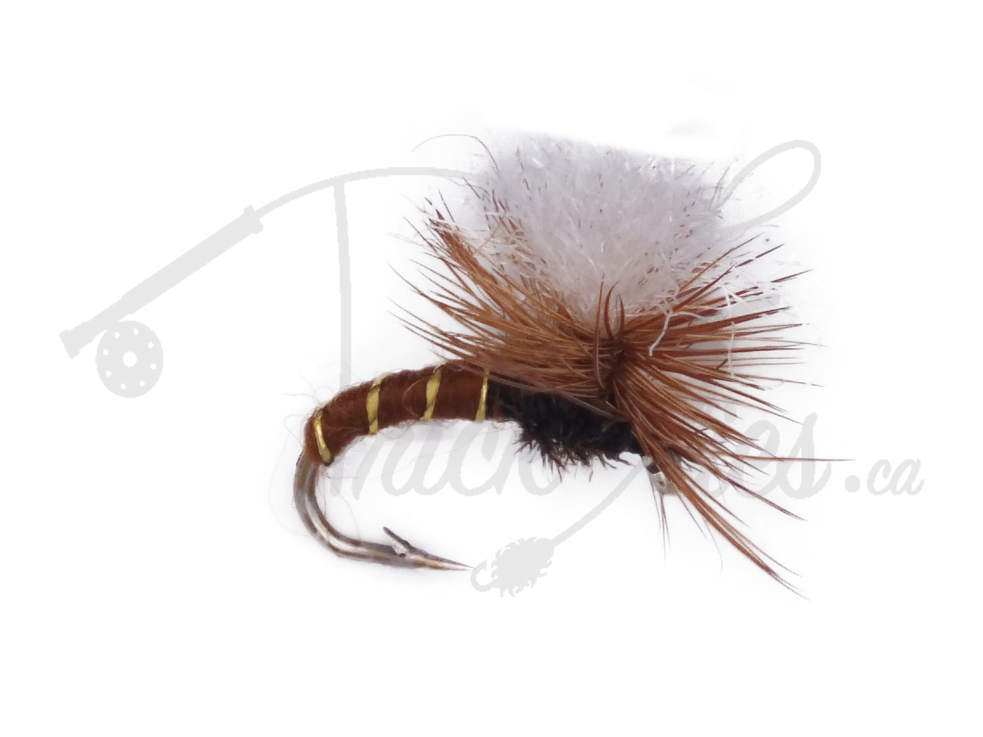Klinkhammer natural dry fly fishing lure with brown and white hackle on a single hook
