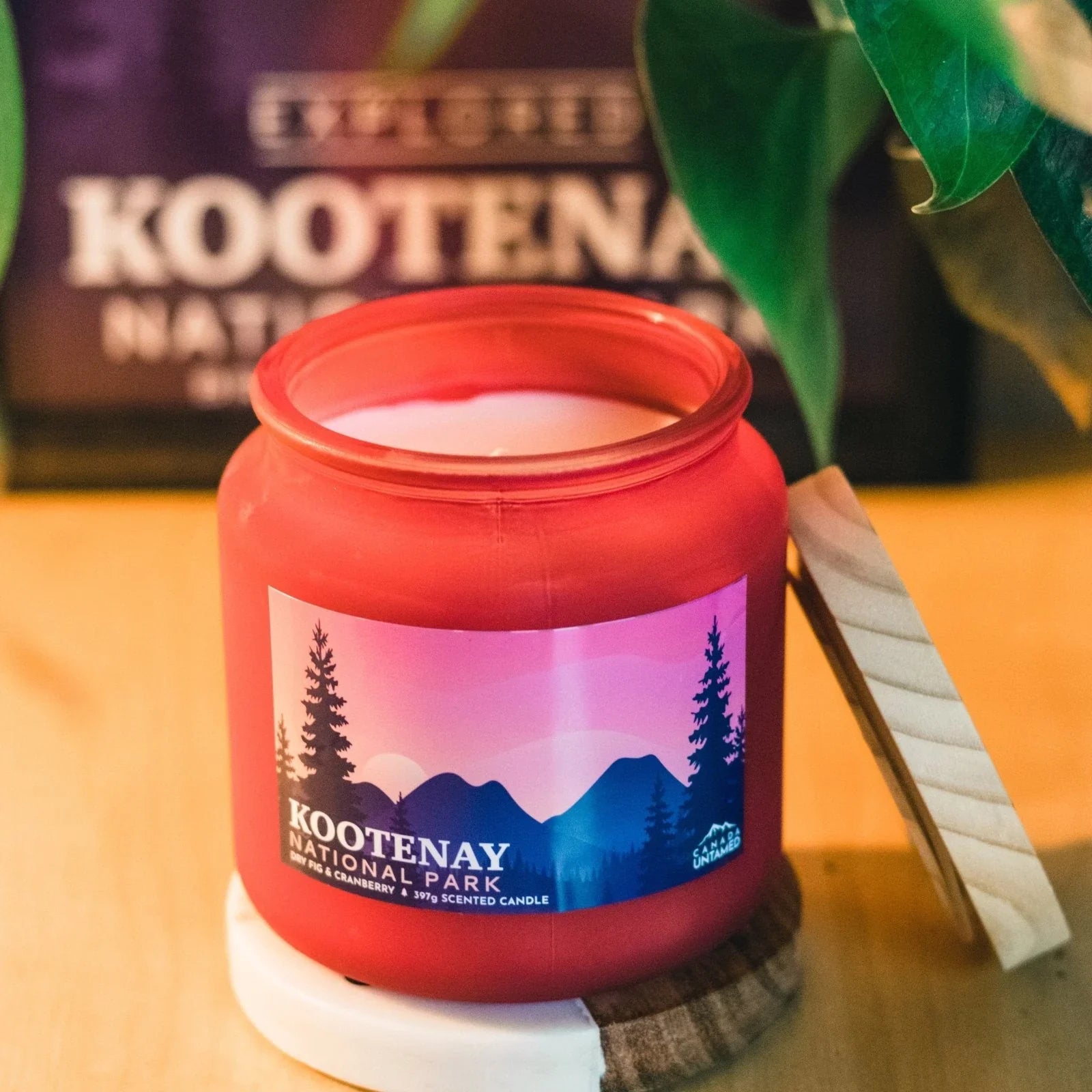 Kootenay National Park dry fig cranberry scented candle in pink glass jar on a table
