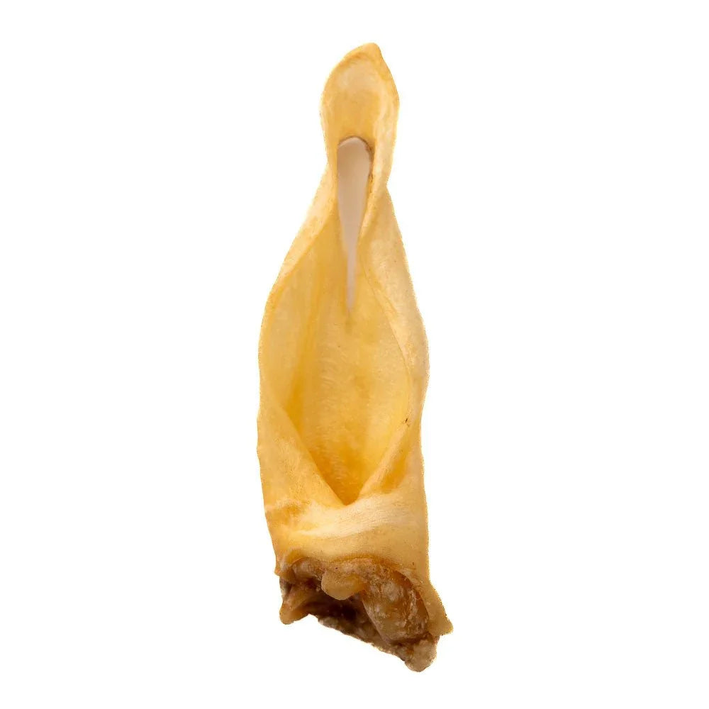 Single dried lamb ear dog treat on white background