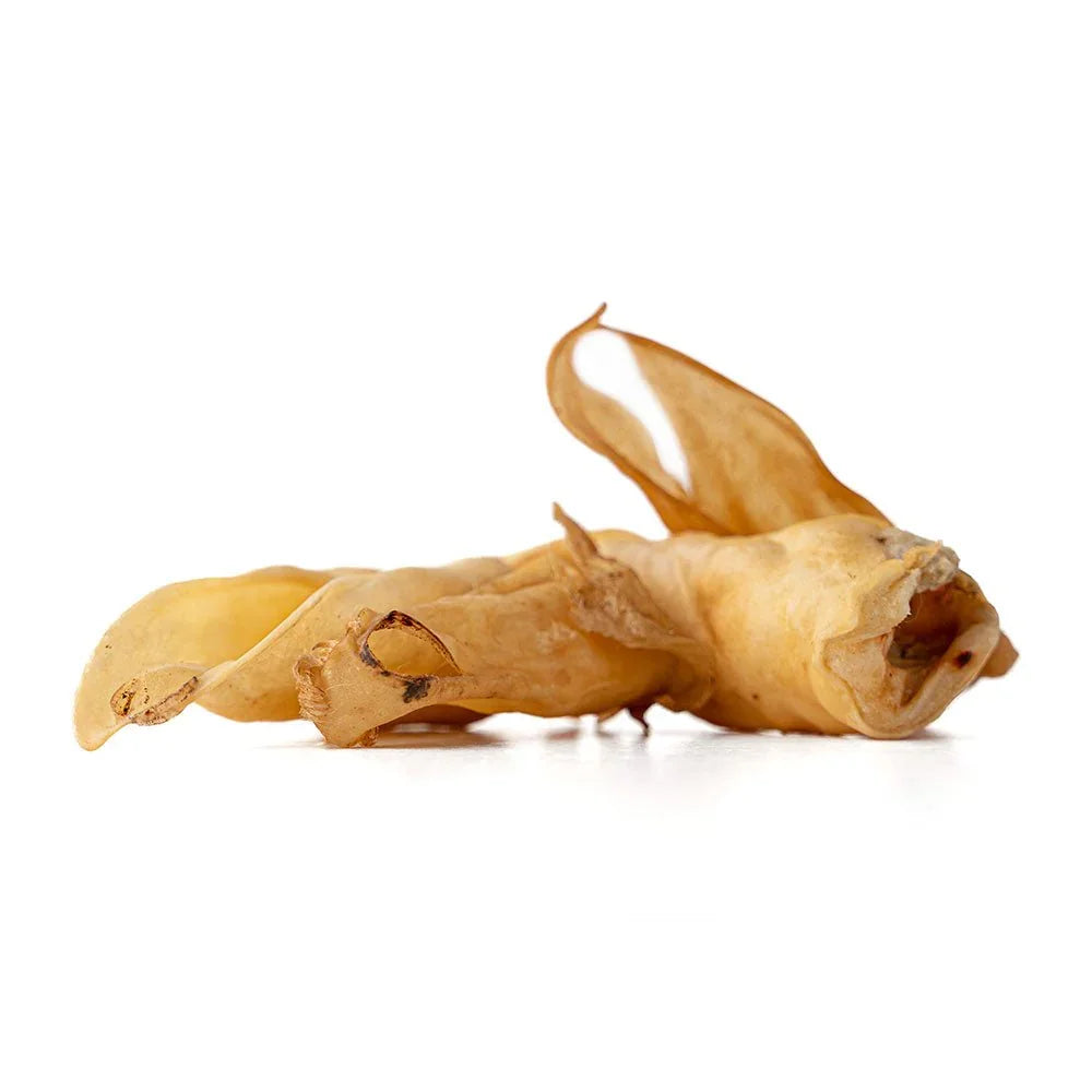 Single dried lamb ear dog chew treat on white background