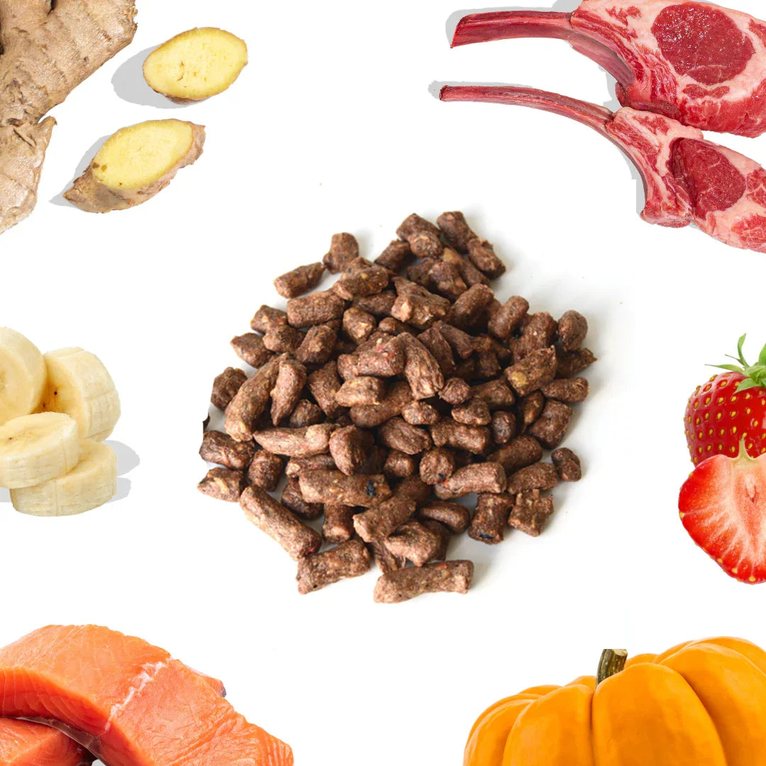 Lamb and salmon dog treats with ginger, lamb chops, banana, strawberry, salmon, pumpkin