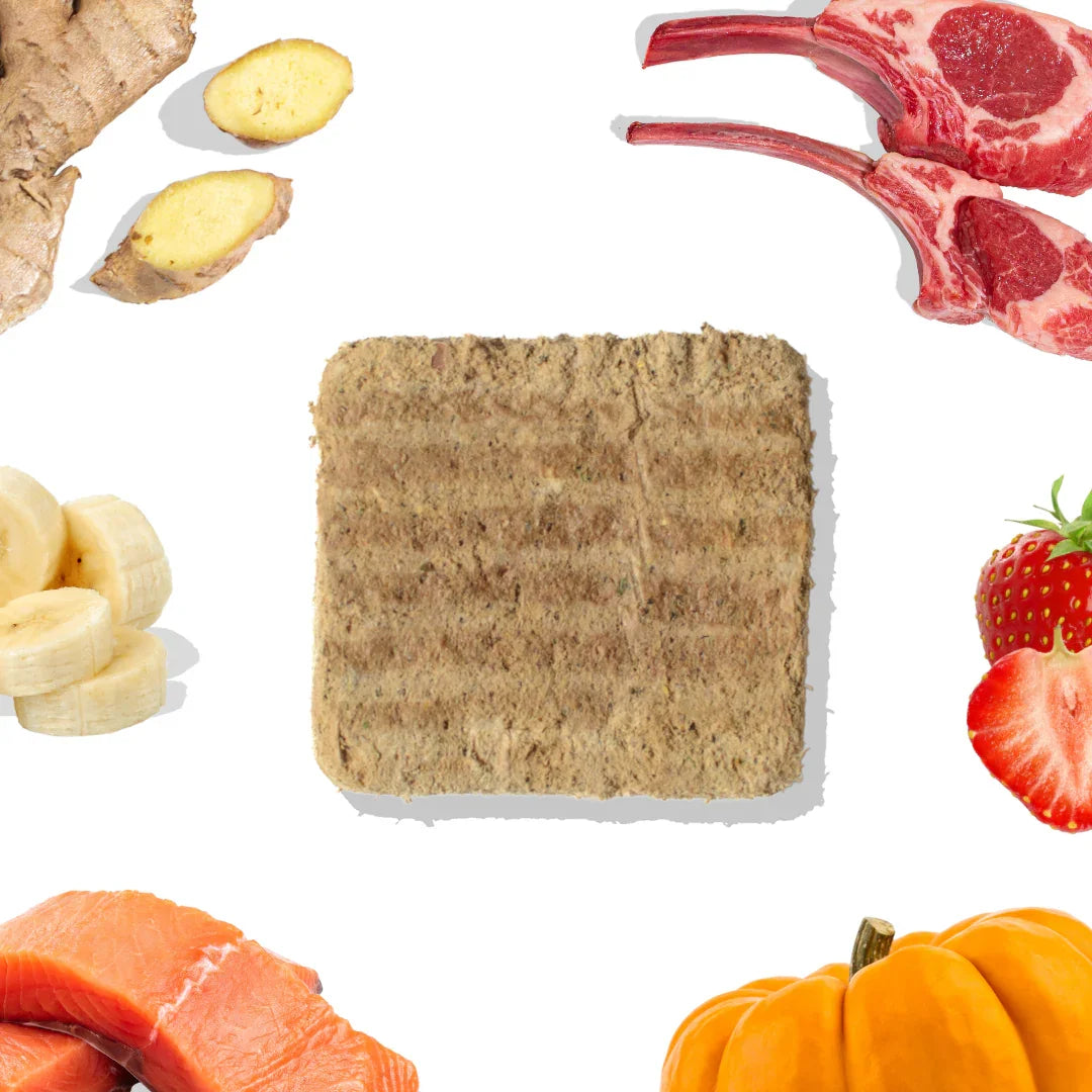 Lamb and salmon patty top view with ingredients: lamb chops, salmon, banana, ginger, strawberry, pumpkin