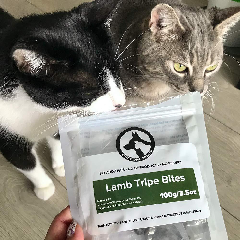 Two cats sniffing a bag of Only One Treats Lamb Tripe Bites 100g pet treats on a wooden floor