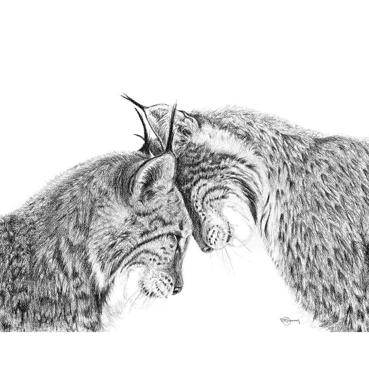 Detailed lynx illustration, two lynxes nuzzling, social animal art, black and white sketch