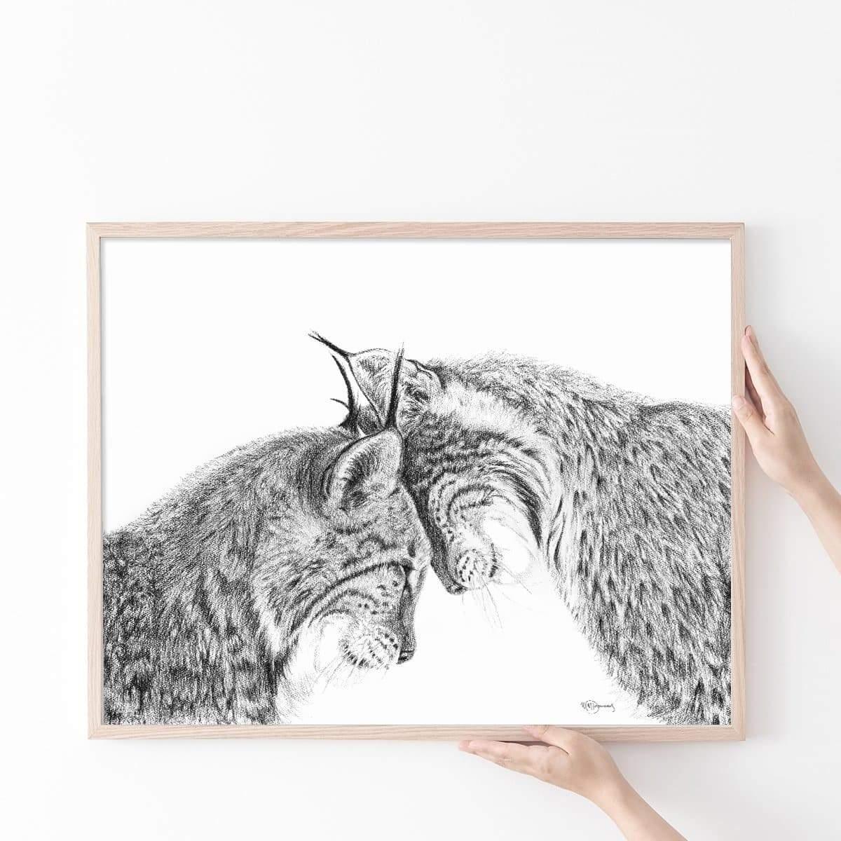 Black and white lynx illustration, two lynxes nuzzling, framed art held by hands