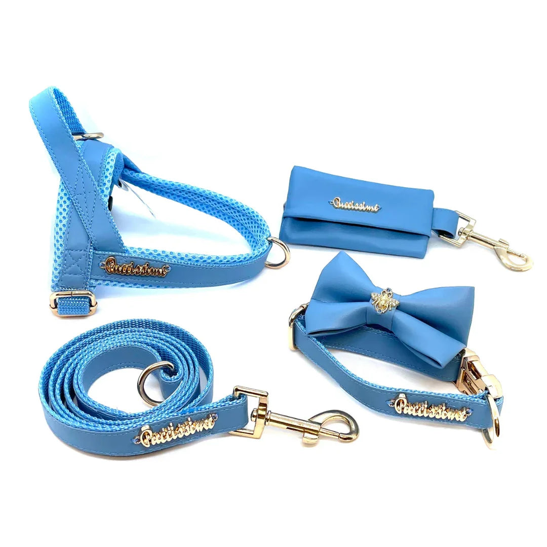 Blue dog harness, leash, bowtie collar, and waste bag holder set with gold accents