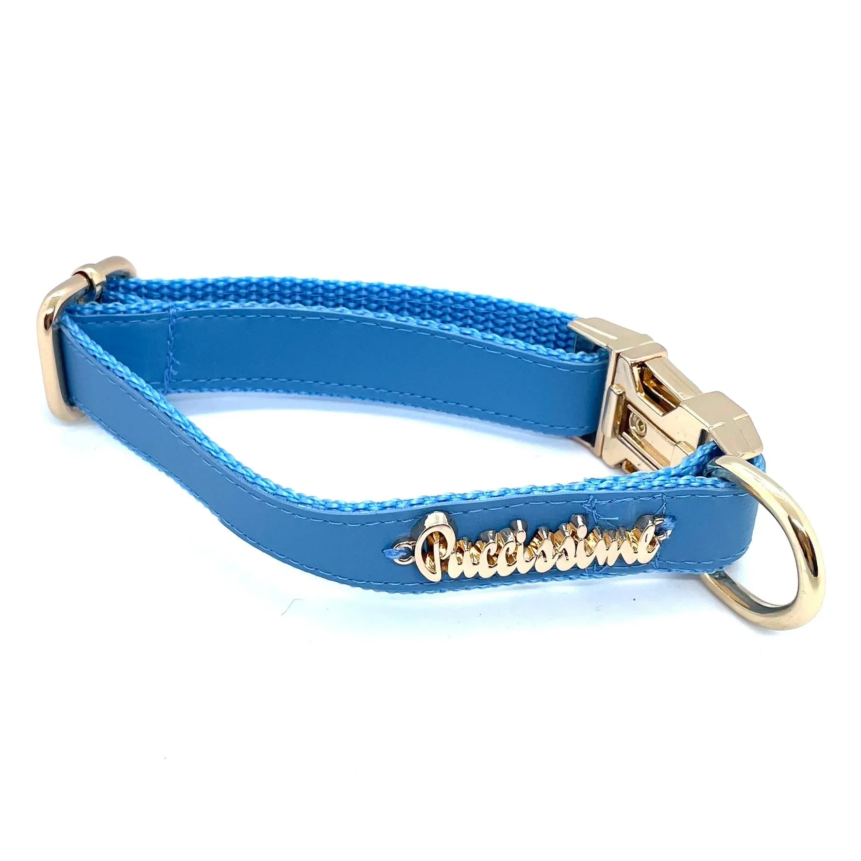 Blue dog collar with gold hardware and Puccissimo nameplate on white background
