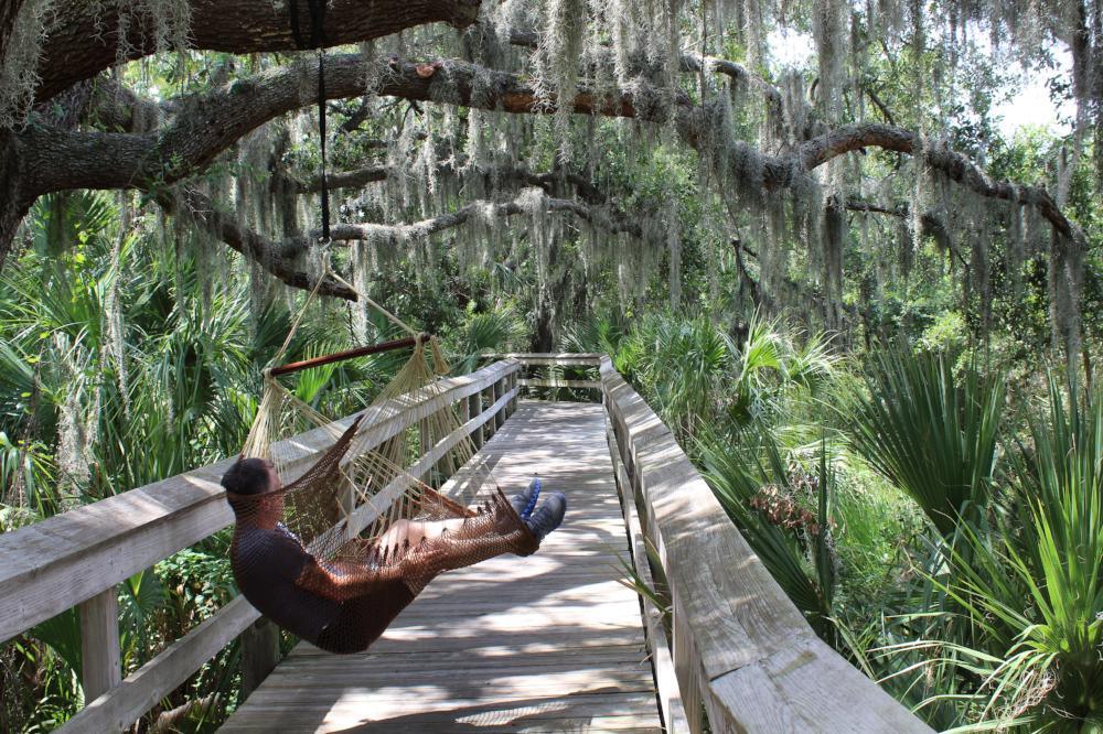 Person relaxing in a hammock on a wooden boardwalk under Spanish moss trees, nature trail