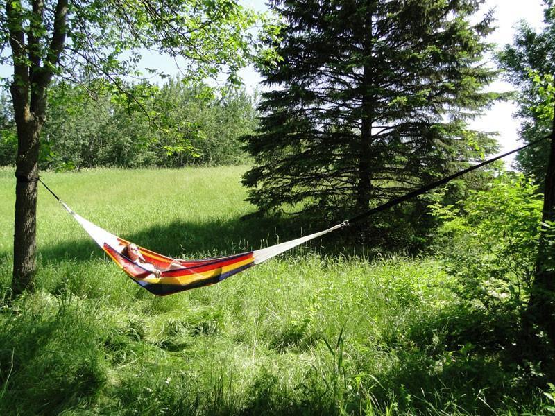 Large double Mayan hammock with stripes hanging between trees in a grassy outdoor area