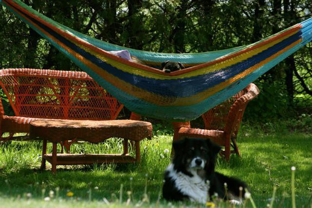 XL Mayan hammock with thick cord in a garden, colorful weave, orange patio furniture, dog resting